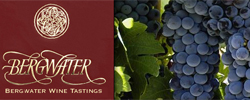 Bergwater Wine Tastings